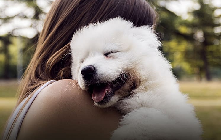 How We Grew Trupanion’s Veterinary Social Media Community