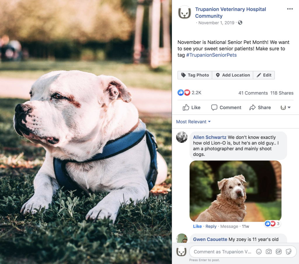 How We Grew Trupanion’s Veterinary Social Media Community