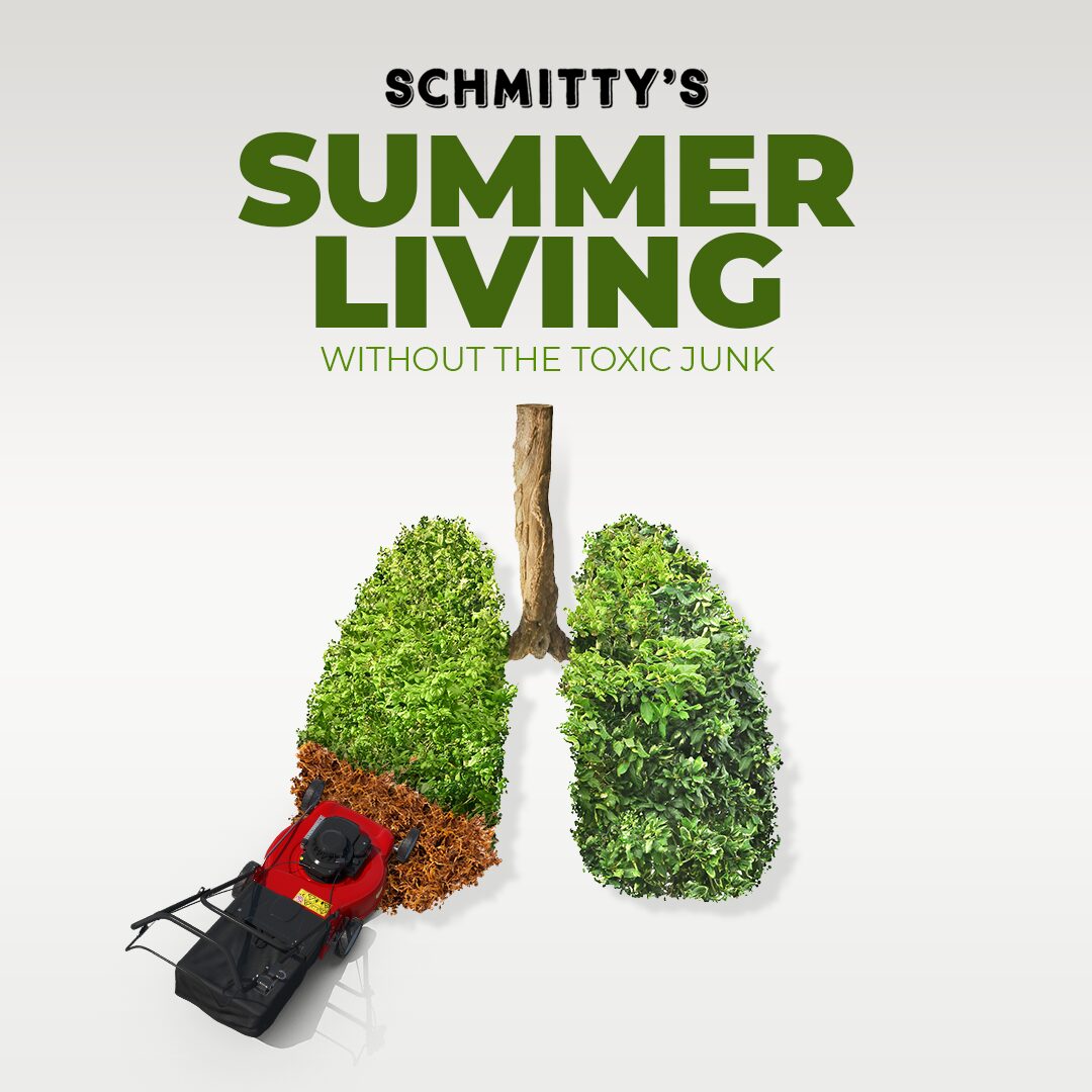 Schmitty's Campaign Example