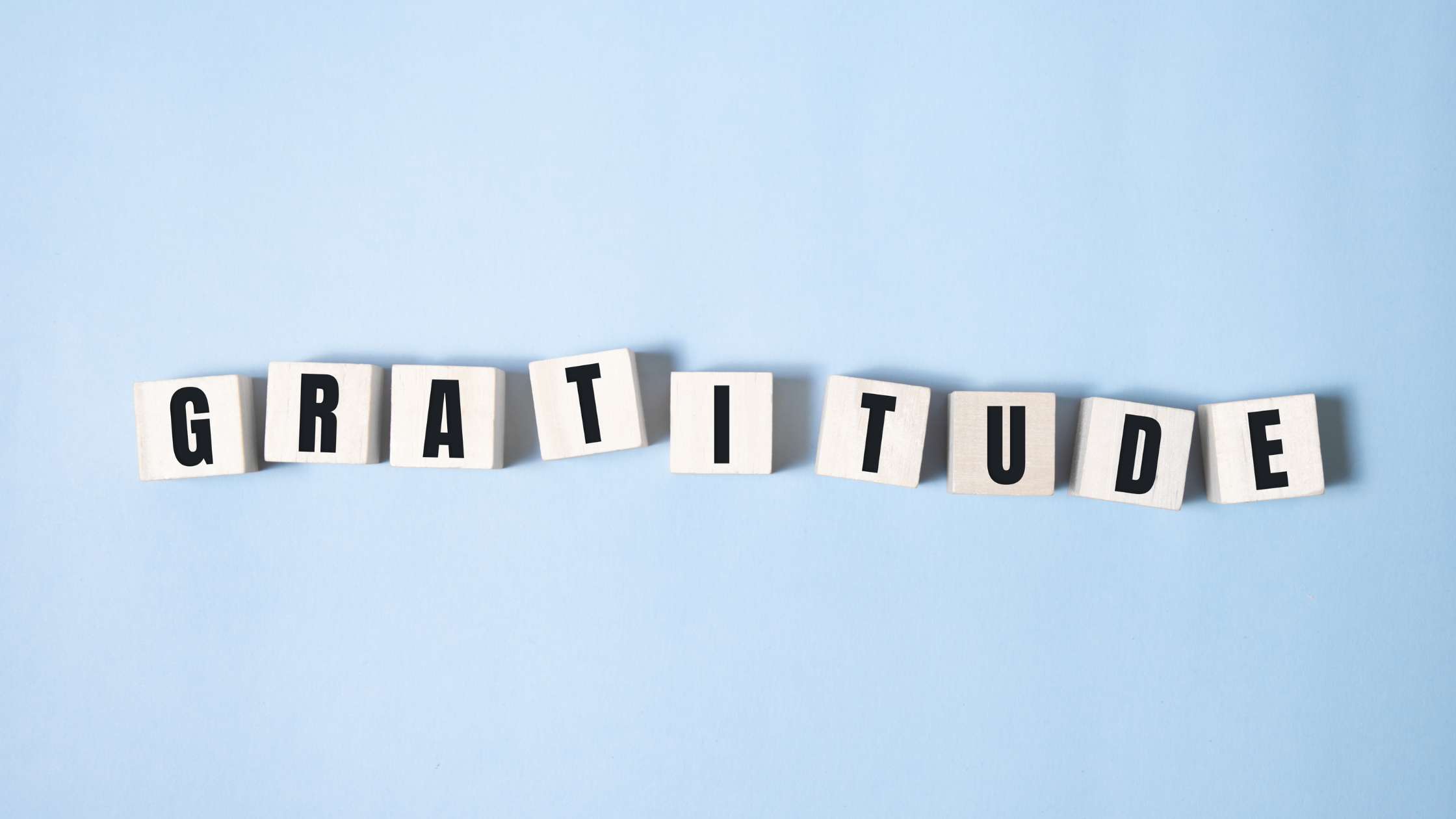 Gratitude in Business: Giving Thanks and Growing Success